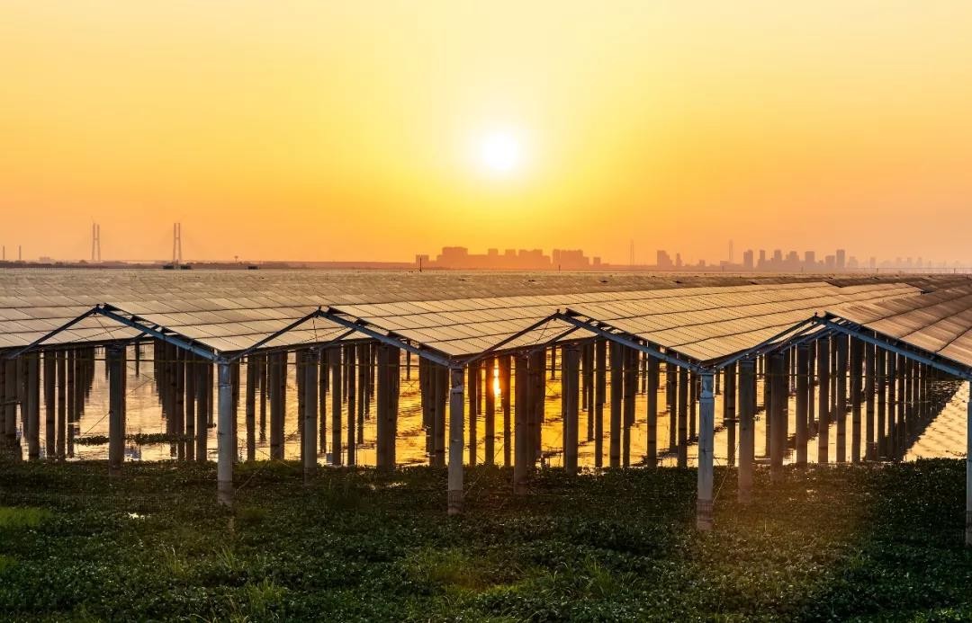 Beyond Success - www@ylg99999.comylg99999.com Achieved a Preferred Scale of 1120 MW in Jiangxi